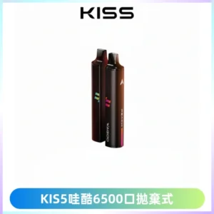 KIS5WAGOO哇酷6500口拋棄式 | 自由混搭雙口味 | 雙芯組合